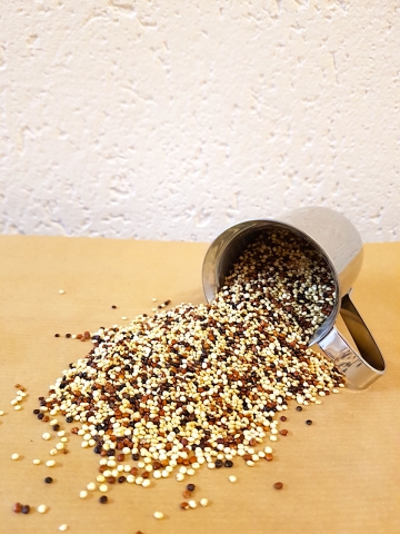 Quinoa tricolore